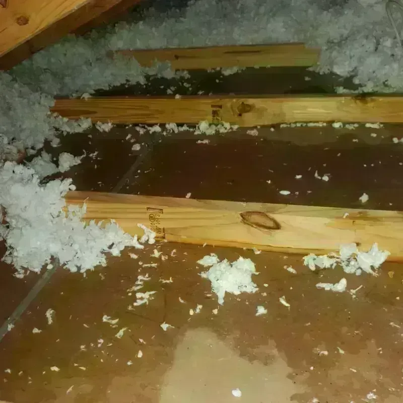 Attic Water Damage in Rockdale, TX