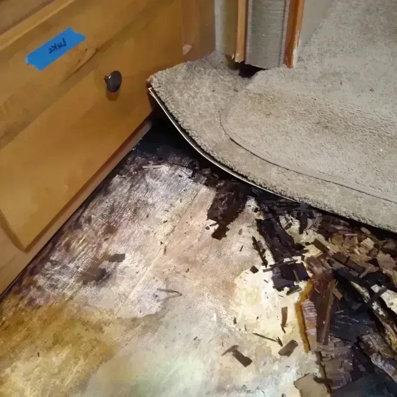 Wood Floor Water Damage in Rockdale, TX